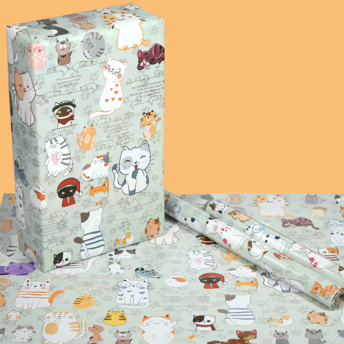 Gift Wrap Roll