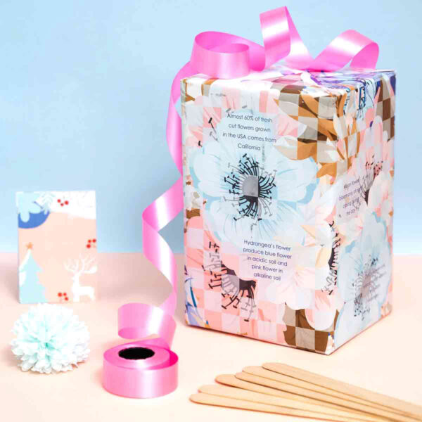 Gift Packing ideas