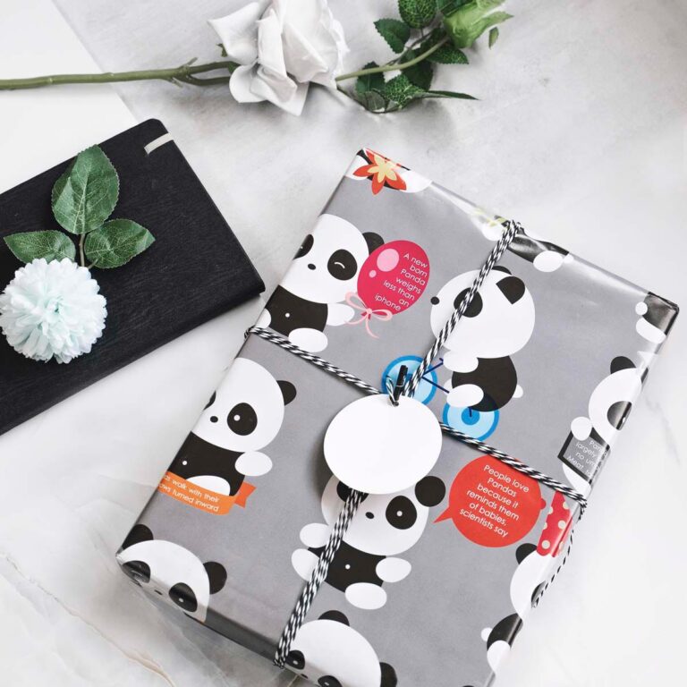 Set of 10 Panda Gift Wrapping Paper with Facts, Grey Colour